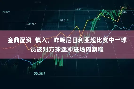 金鼎配资 慎入,昨晚尼日利亚超比赛中一球员被对方球迷冲进场内割喉